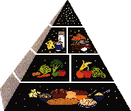 Food Guide Pyramid